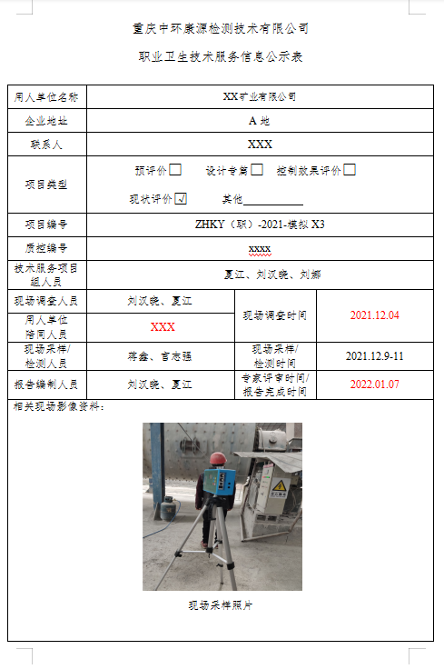 XX矿业有限公司-职业病危害因素现状评价模拟报告